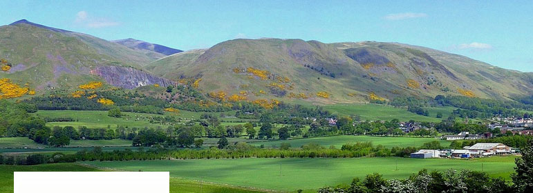 Williams Bros countryside banner image