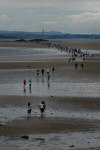 2006 Black Rock '5' Race