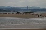 2006 Black Rock '5' Race