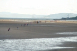 2007 Black Rock '5' Race