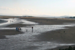 2007 Black Rock '5' Race