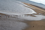 Runners on the sand - 2008 Black Rock '5' Race