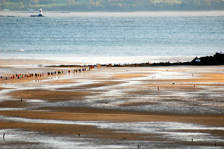2012 Black Rock 5 Race
